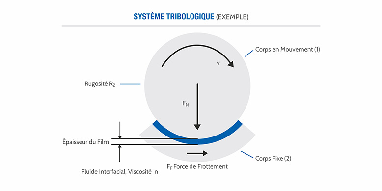 Système Tribologique