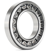 Roller Bearing