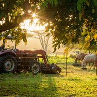 GGB Bearings for Tractors & Farm Equipment